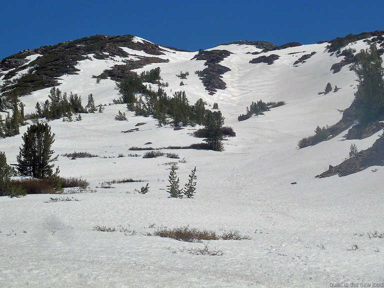 yosemite051813-689.jpg