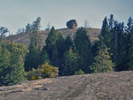 Erratic on Turtleback Dome