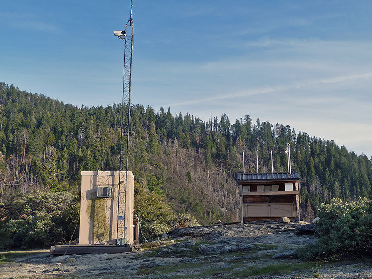 Turtleback Dome Webcam