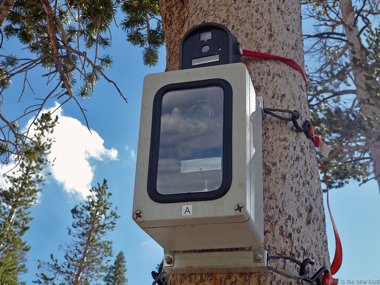 Timelapse camera above Tuolumne Meadows