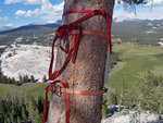 Timelapse camera above Tuolumne Meadows