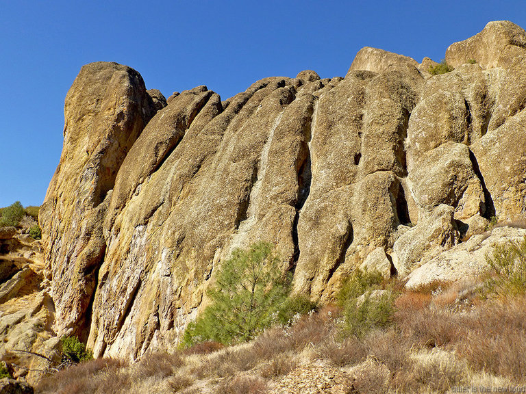 Pinch or Lynch Wall