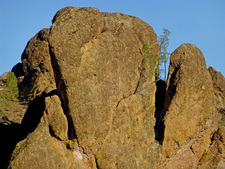 Salathe's Sliver, Nelson's Needle