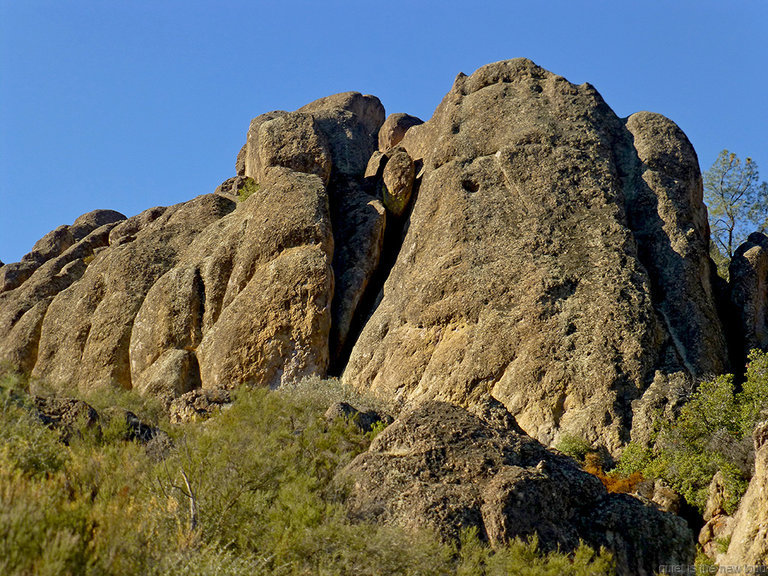 Pinch or Lynch Wall