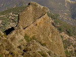 The Flatiron