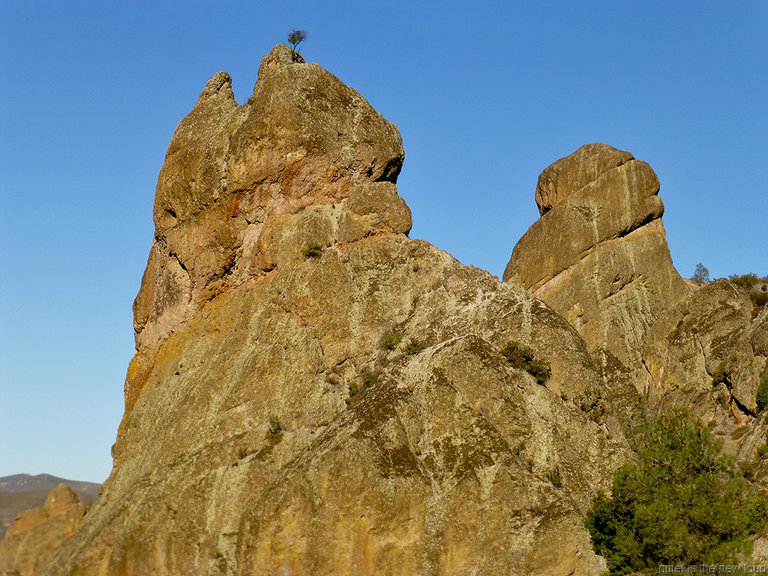 Ball Pinnacle, Teapot Dome