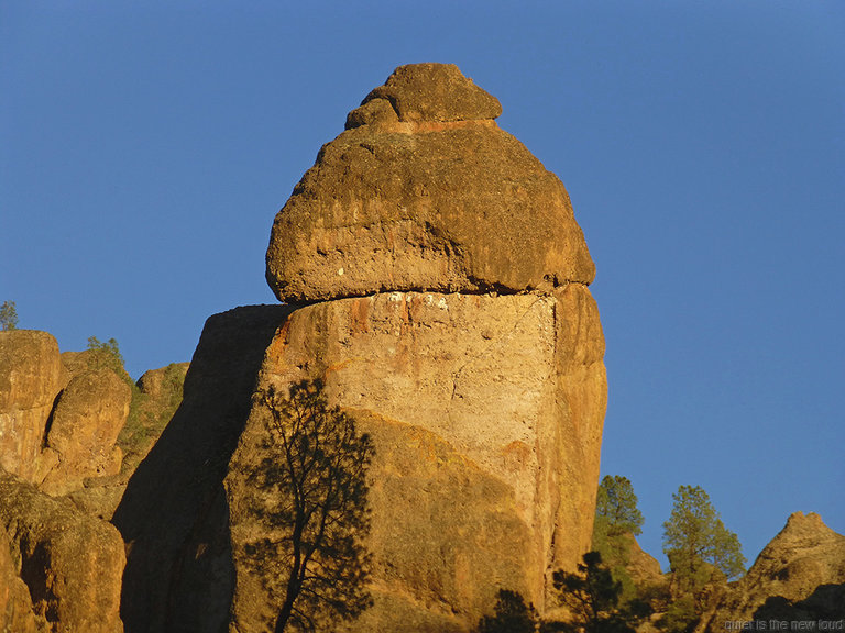 Teapot Dome