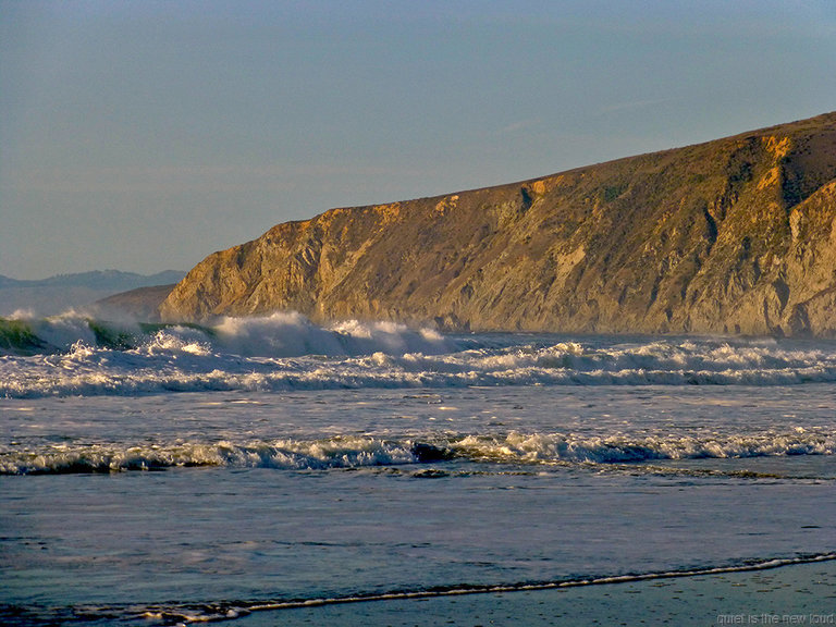 Tomales Point