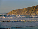 Tomales Point