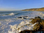 McClures Beach, Tomales Point