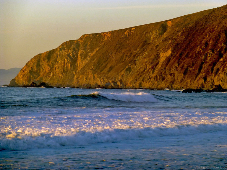 Tomales Point