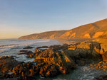 Driftwood Beach, Tomales Point