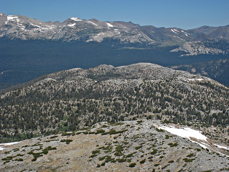 False White Mountain