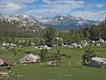 False White Mountain, Tuolumne Pass