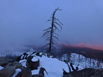 Dead Tree on Smith Peak at Sunset