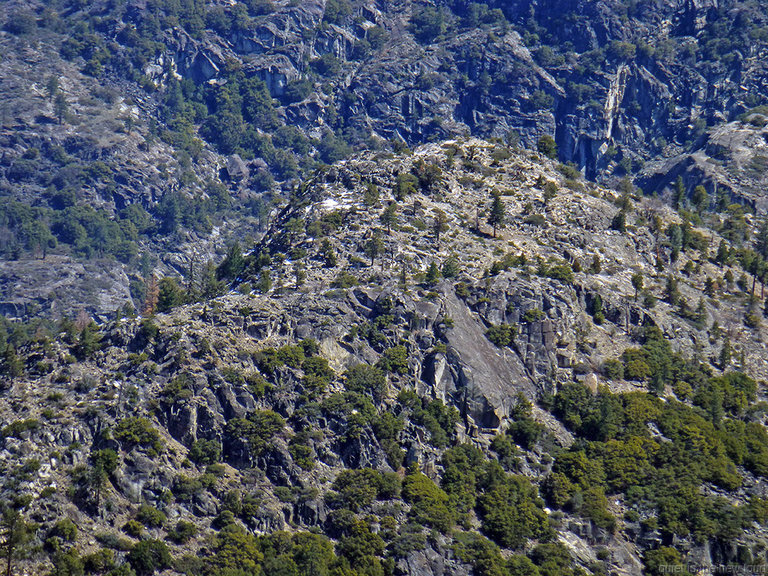 LeConte Point