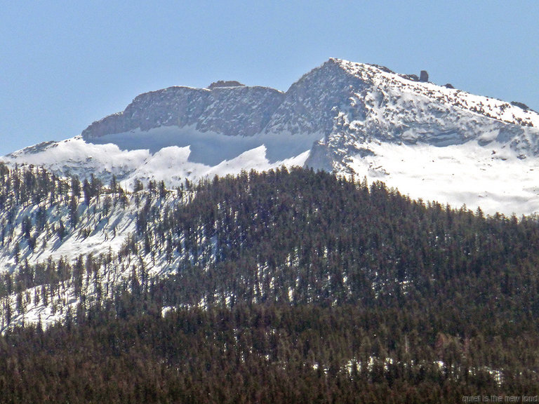 Mt Hoffmann
