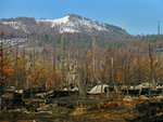 Burned Trees, Smith Peak