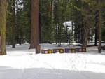 Mono Meadows Trailhead