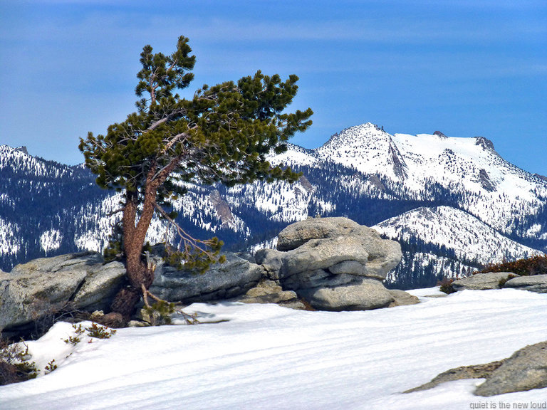 Mt Hoffmann from summit of Sentinel Dome