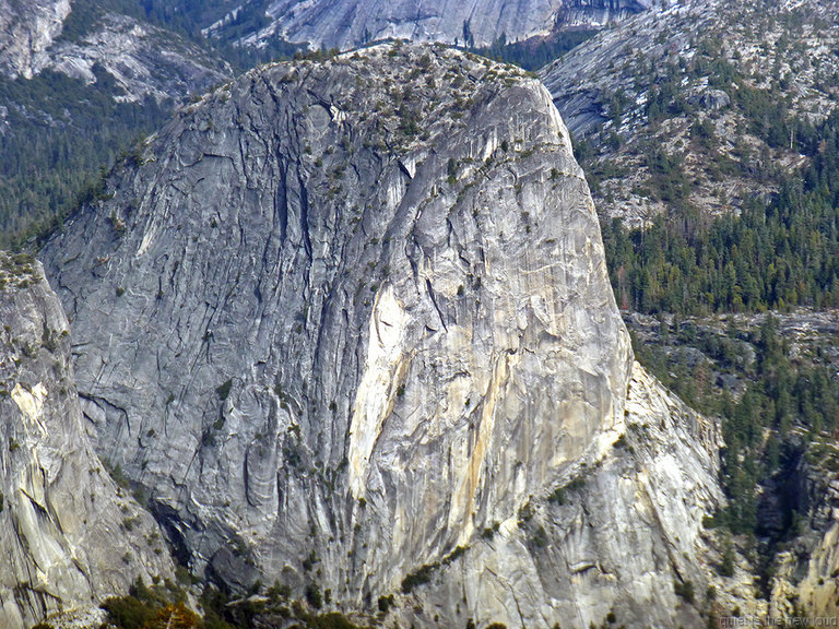 Liberty Cap