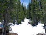 Half Dome trail