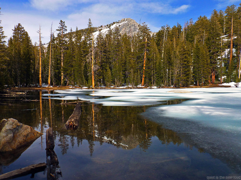 Lake off Clouds Rest trail