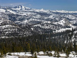 Mt Florence, Foerster Peak, Long Meadow