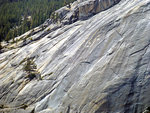 Climbers on Stately Pleasure Dome