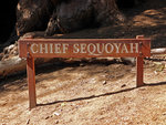 Chief Sequoyah