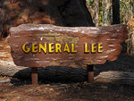 General Lee