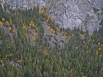 yosemite102309_013.jpg