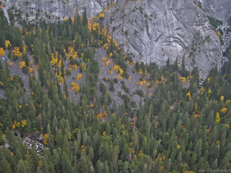 yosemite102309_013.jpg