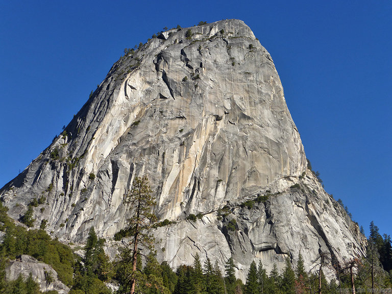 Liberty Cap