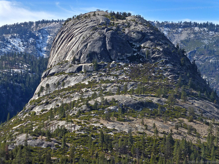 Liberty Cap