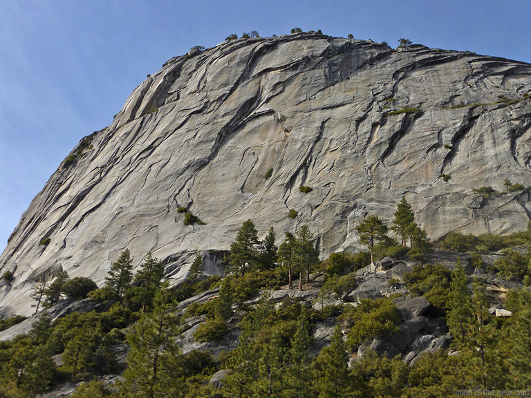 Liberty Cap