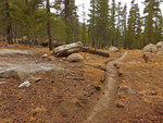 Fishermen's Trail cutoff to Mattie Lake