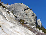 Harlequin Dome