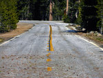 Tioga Road