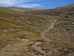 Trail through meadow on Dana Plateau