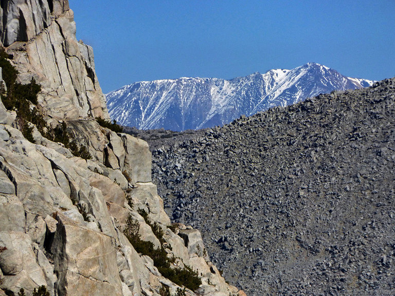 White Mountain, slopes of Mt Starr, Mt Morgan