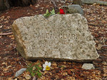 Galen Clark gravestone