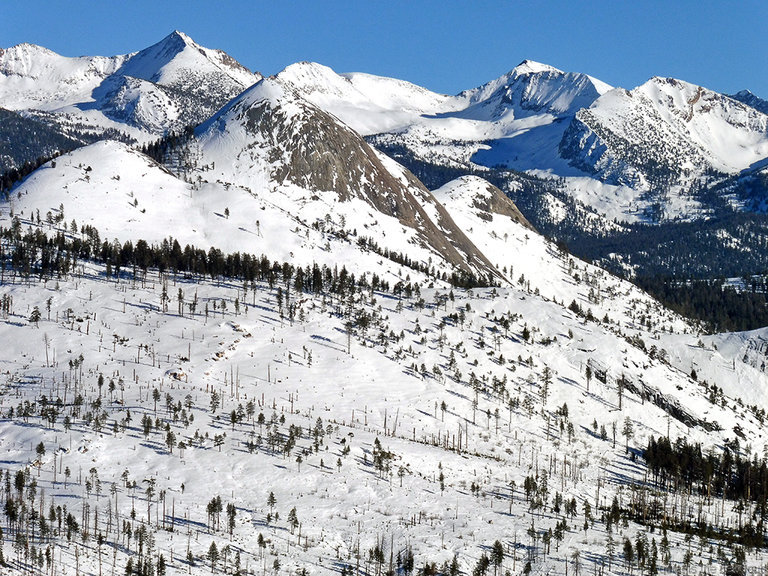 Gray Peak, Mt Starr King, Red Peak