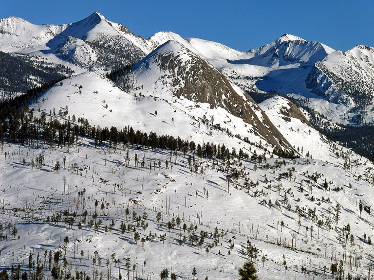 Gray Peak, Mt Starr King, Red Peak