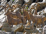 Kearsarge Pass 07-15-16