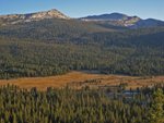 Tuolumne Meadows