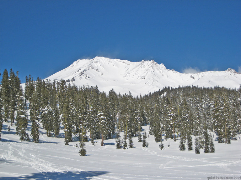 Shasta030909_145.jpg