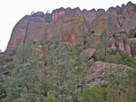 Pinnacles_121308_065.jpg