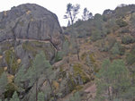 Pinnacles_121308_107.jpg