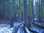 Snow on path to El Cap